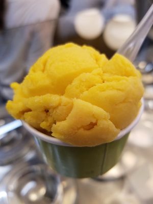 Mango at Buza in Tel Aviv