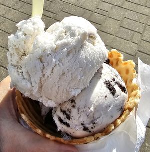 Vanilla and cookie at Living the Dream in Eureka