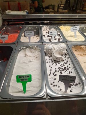Dairy free ice cream flavors at Living the Dream in Eureka