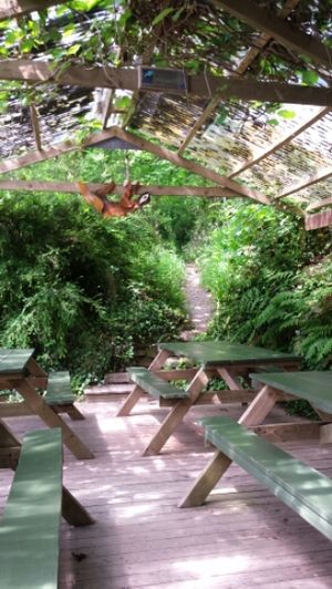 Seating area at Tree-Top Cafe in Looe