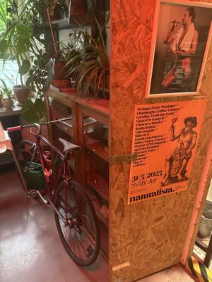   at Dvanast Dusi in Bratislava