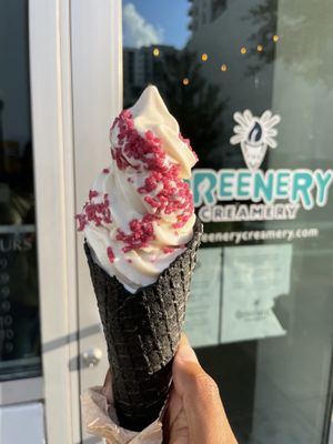 Soft serve  at The Greenery Creamery  in Orlando