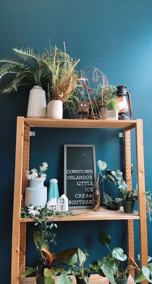 cute interior at The Greenery Creamery  in Orlando