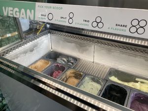 Half of the case is vegan ice cream at The Greenery Creamery  in Orlando