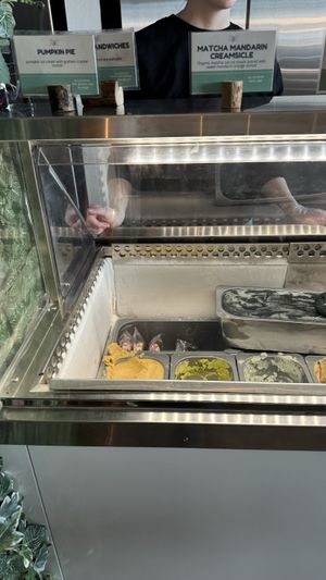 Helados veganos  at The Greenery Creamery  in Orlando