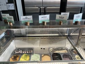 Todays vegan options   at The Greenery Creamery  in Orlando