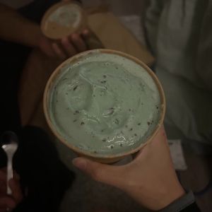 mint stracciatella at The Greenery Creamery  in Orlando