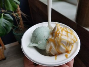 Scoop of mint ice cream, vanilla soft serve ice cream, vegan carmel sauce on the vanilla at The Greenery Creamery  in Orlando