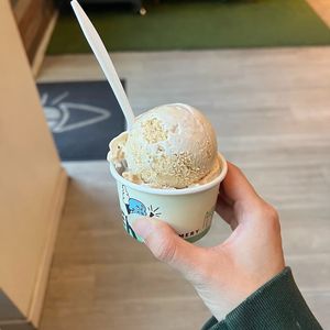 pumpkin coquito and apple spice crunch ice crfeam at The Greenery Creamery  in Orlando