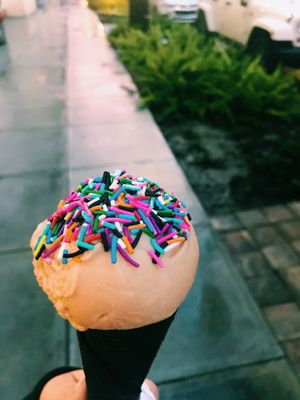 Cookie Butter Vegan ice cream with a vegan vanilla activated charcoal cone!  at The Greenery Creamery  in Orlando
