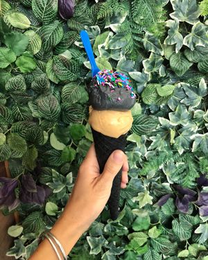 black ash coconut and speculoos at The Greenery Creamery  in Orlando