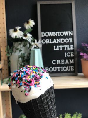 Butterbeer vegan ice cream, vegan charcoal cone, sprankles  at The Greenery Creamery  in Orlando