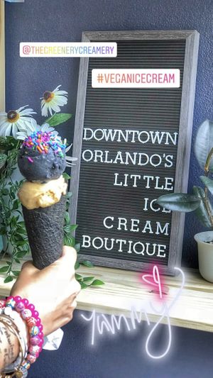 Black ash coconut & speculoos  at The Greenery Creamery  in Orlando