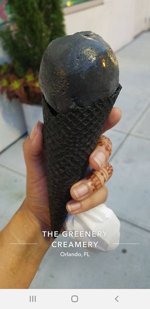 Black coconut at The Greenery Creamery  in Orlando