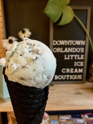 Mint stracciatella on a black ash cone at The Greenery Creamery  in Orlando