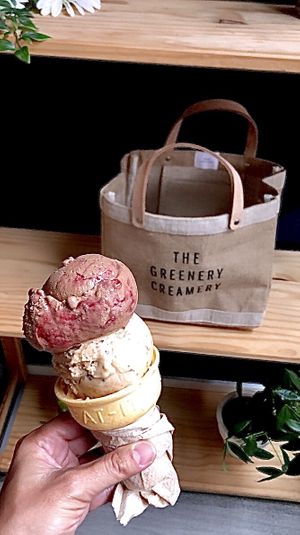 Chocolate Almond Raspberry and Speculoos! 🙋‍♀️🤓 at The Greenery Creamery  in Orlando