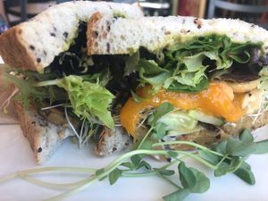 The chicken Mango sandwich made Vegan! Instead it’s made with Tempeh and Vegan Mayo. at Wisdom Health Lab in Whitsunday