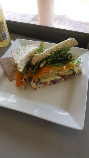 Chicken mango sandwich with tempeh instead of chicken at Wisdom Health Lab in Whitsunday