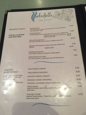 Menu at Waterfalls Cafe in Mount Field