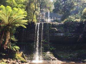 Russell Falls in dry season at Waterfalls Cafe in Mount Field