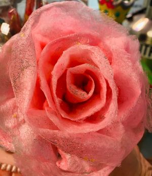 COTTON CANDY ROSES!!! at Best Ice Cream in Fort Myers