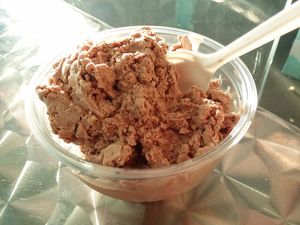 Chocolate ice cream made with a can of coconut milk. Nitrogen frozen. at Best Ice Cream in Fort Myers