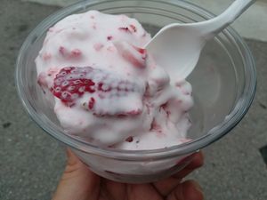 Strawberry ice cream made with vegan coconut milk and fresh strawberries at Best Ice Cream in Fort Myers