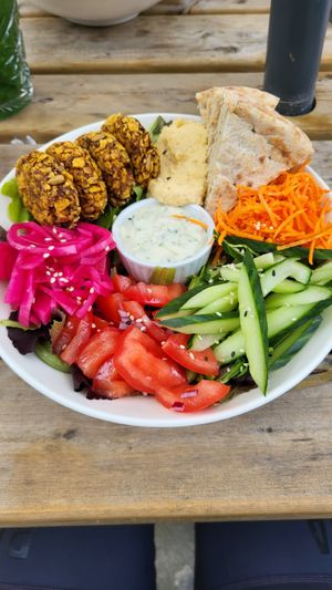 Falafel bowl at BACKYARD in Rotterdam
