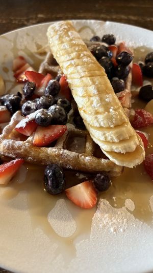   at BACKYARD in Rotterdam