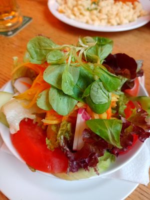 Side salad at Gasthaus Schöne Perle in Vienna