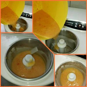 Homemade vegan ice cream at Gostilna Pezdirc in Semic