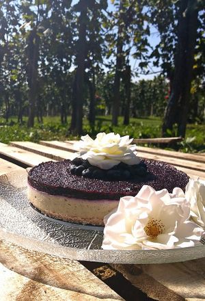 Vegan raw blueberry cake with vanilla cream at Kozelinovi in Cankova