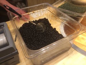 Tapioca balls  at Tai Chi Bubble Tea - Mt Hope Ave in Rochester