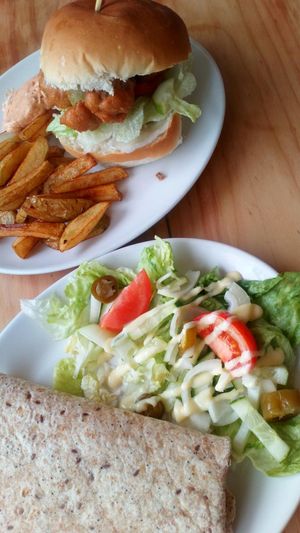 House Zinger Burrito and Burgers! at Sunshine Deli in Sheffield