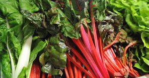 roter Mangold aus dem eigenen neu angelegtem Gemüsefeld von 500 qm und 28 Sorten Gemüse at Naturlandhaus Krone in Maierhoefen