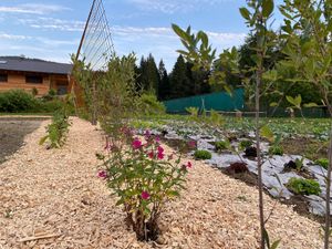  at Naturlandhaus Krone in Maierhoefen