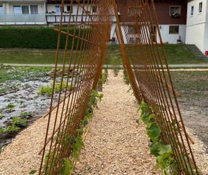  at Naturlandhaus Krone in Maierhoefen