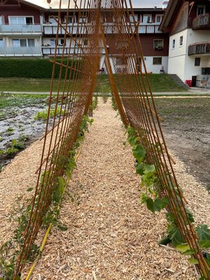  at Naturlandhaus Krone in Maierhoefen