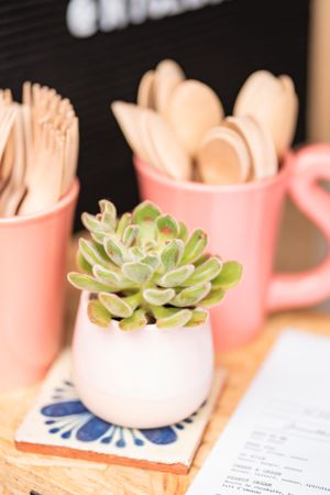 Good morning at Nyce Bowls in Annecy