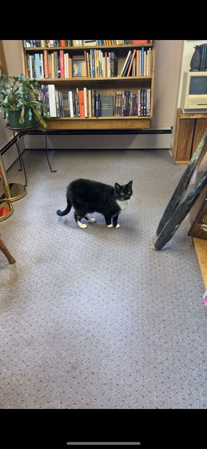 Cedric 🖤  at City Lights in Sylva