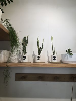 Nice decor  at Verd in Manly