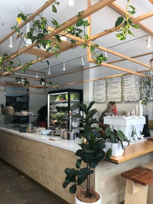 Verd  at Verd in Manly