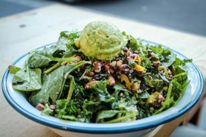 salad bowl at Verd in Manly