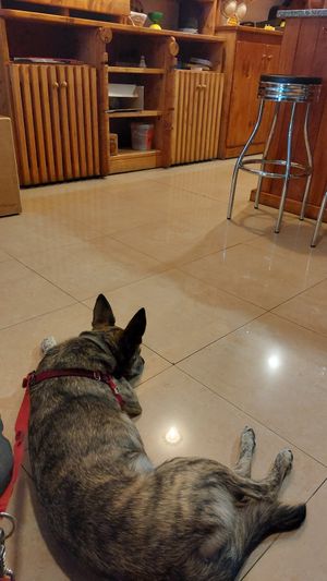  at Luscofusco in Ourense