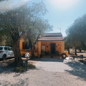 Home restaurant vegana, proponiamo anche piatti della tradizione sarda😊❤️ at Gioia Caffetteria Gastronomia Vegana in Sassari