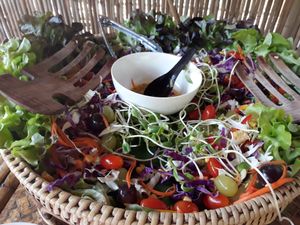 Salad at Suan Sati in Chiang Mai