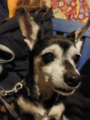  at Mr Blou I Love You in Amsterdam