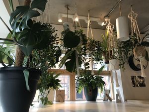   at Kale+Coco in Dublin