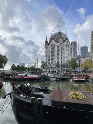 View in the old harbor   at Healthful in Rotterdam