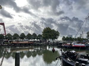 View in the old harbor   at Healthful in Rotterdam
